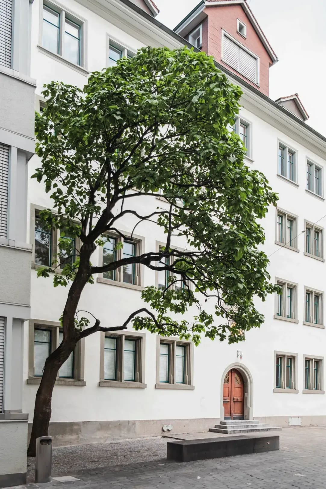 Sprachschule Aktiv 15